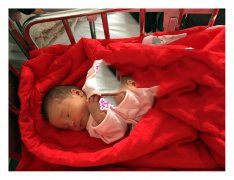 恭喜广州L女士，喜得贵子