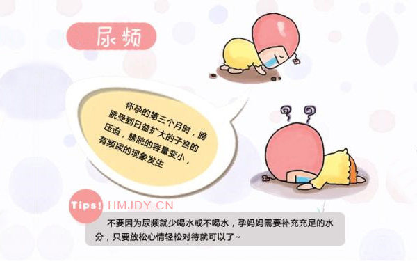 怀孕初期的症状：尿频